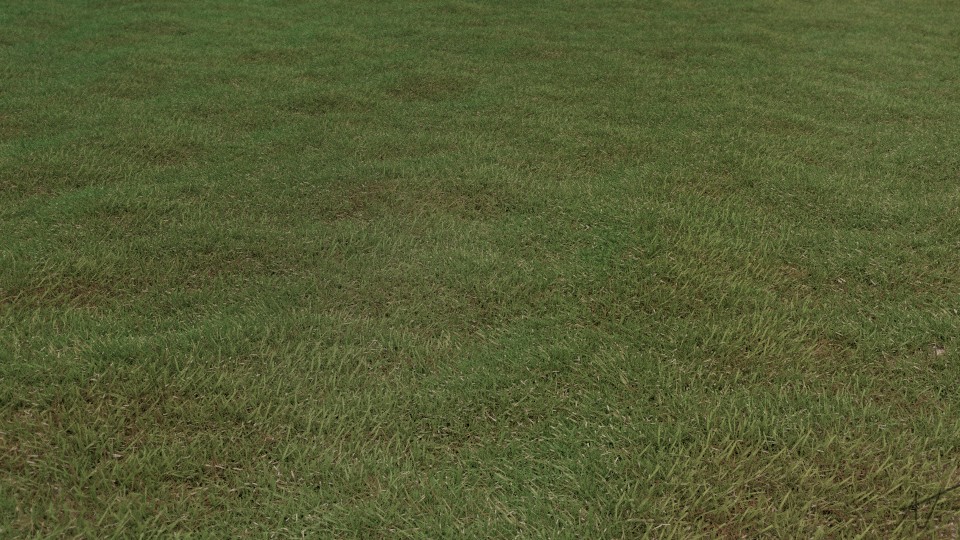 Short Grass preview image 1